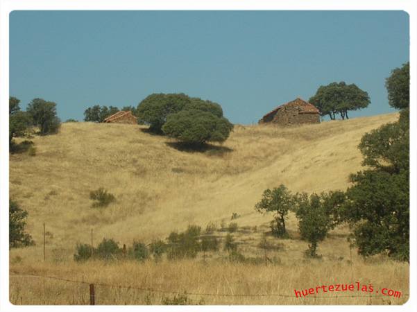 CortiCortijo De Francisco-Gilo